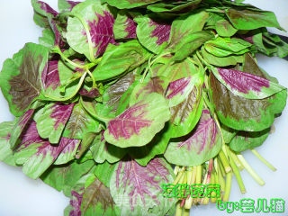 Amaranth Salad recipe