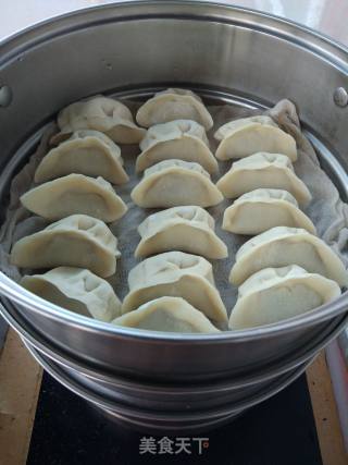 Donkey Meat and Cabbage Dumplings recipe