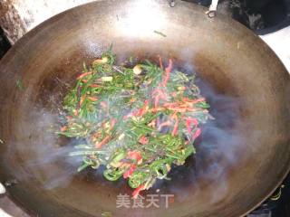 #春食野菜香# Fried Fern with Wild Onion Fermented Bean Curd recipe