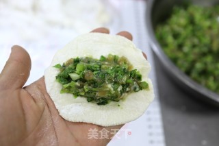 Pork Parsley Pot Stickers recipe