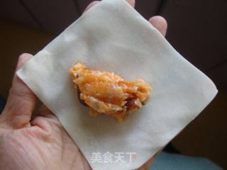 Carrot Minced Pork Wanton recipe