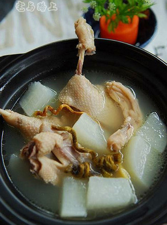 Dendrobium Duck Soup recipe