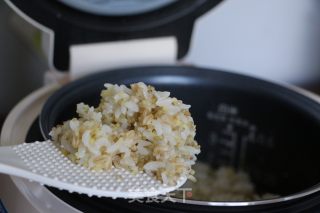 Miscellaneous Rice Balls recipe