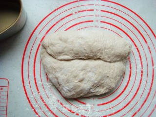 Brown Wheat French Bread recipe