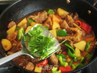 Family Edition Xinjiang Large Plate Chicken recipe