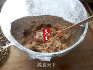 Xiao Long Bao Meat Stuffing Method recipe