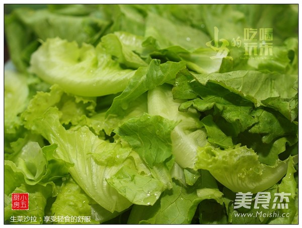 Lettuce Salad: Enjoy A Comfortable Time with Light Meals recipe