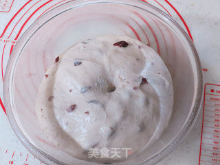 Rich and Rich Taste~【whole Wheat Cranberry Cheese Soft European】 recipe