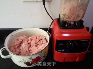 Homemade Harbin Sausage recipe