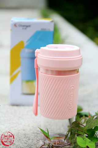 Changdi Portable Juice Machine-dorado recipe