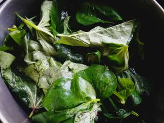 Steamed Sweet Potato Leaves recipe