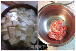 Tofu with Minced Meat recipe