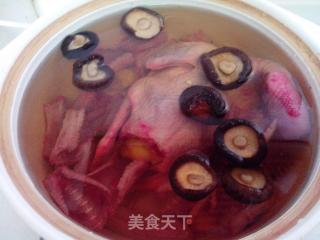 Homing Pigeon Stewed Water Snake recipe