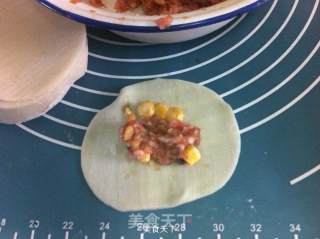 Three Fresh Pot Stickers with Egg Skin recipe