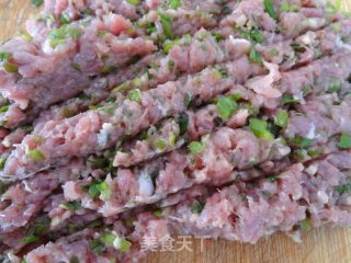 Fennel Beef Fried Dumplings recipe