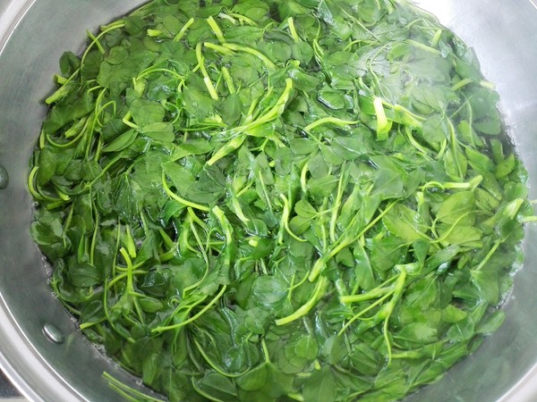 Warm Mix Alfalfa Vegetables recipe