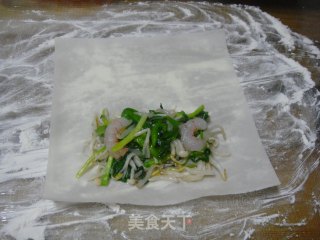 Let Us Welcome The Coming of Spring and Make Spring Rolls recipe