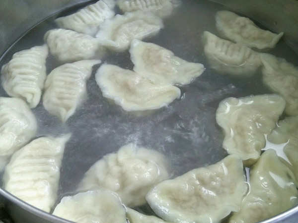 Pork and Cabbage Dumplings recipe