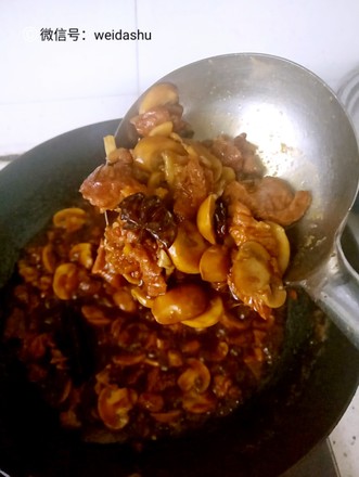 Piaoxiang Mushroom Braised Pork Rice