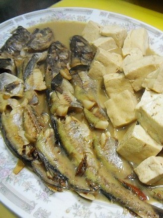 Salted Fish Stewed Tofu