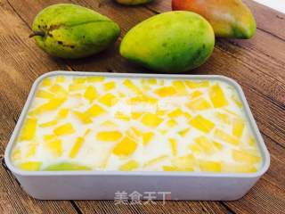 Mango Panna Cotta recipe