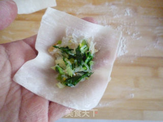 Pan-fried Vegetarian Wonton recipe