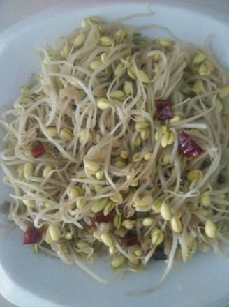Vegetarian Fried Bean Sprouts recipe