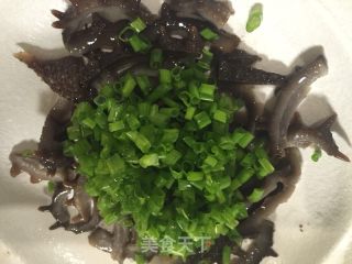 Sea Cucumber Salad recipe