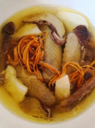 Old Pigeon Coconut Soup (pigeon & Coconut) recipe
