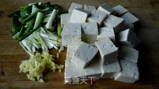 Braised Tofu with Minced Meat recipe