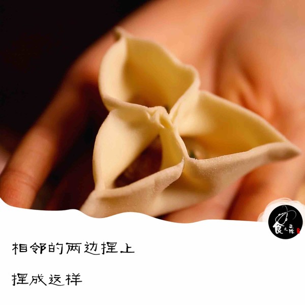 Different Steamed Dumplings recipe