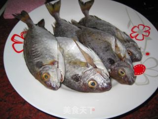 Braised Fish in Soy Sauce recipe