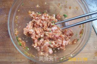 "grilled Crucian Carp Stewed Meat with Scallion" recipe