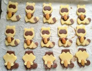 Raccoon and Squirrel Cookies recipe