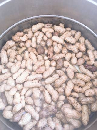 Boiled Peanuts recipe