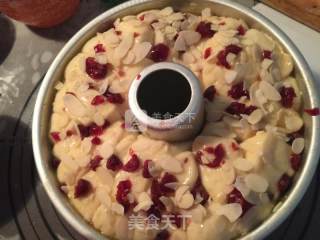 #aca烤明星大赛#condensed Milk Cranberry Shredded Bag recipe