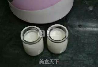 Homemade Yogurt recipe