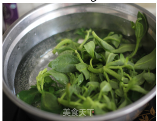 Wild Vegetables for Dispelling Fire in Spring——ginger and Andrographis recipe