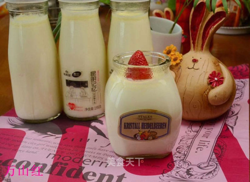 Yogurt Made with Yogurt recipe