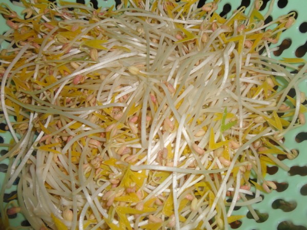 Cold Bean Sprouts recipe