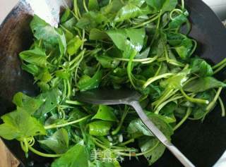 Stir-fried Sweet Potato Leaves with Garlic recipe