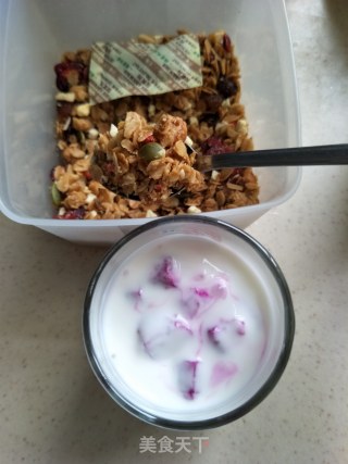 Pitaya Cereal Nut Yogurt Cup recipe