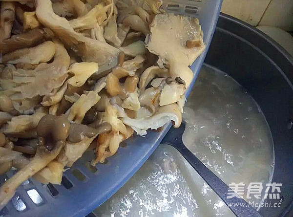 Old Duck Mushroom Soup recipe