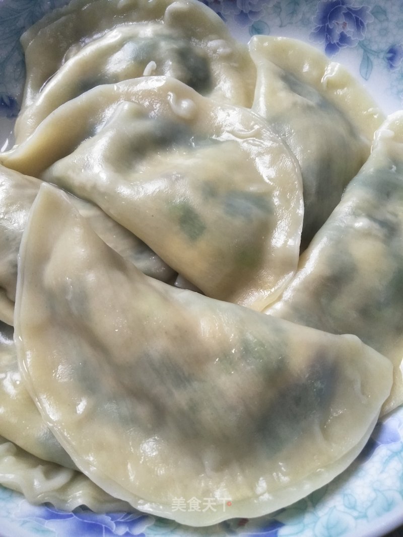 Vegetarian Dumplings recipe