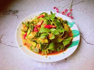 Nepeta Mixed with Cucumber recipe