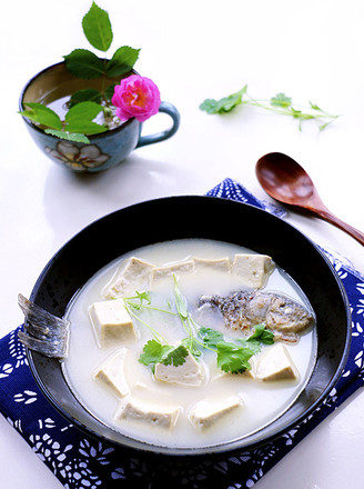 Milky White Crucian Fish Tofu Soup