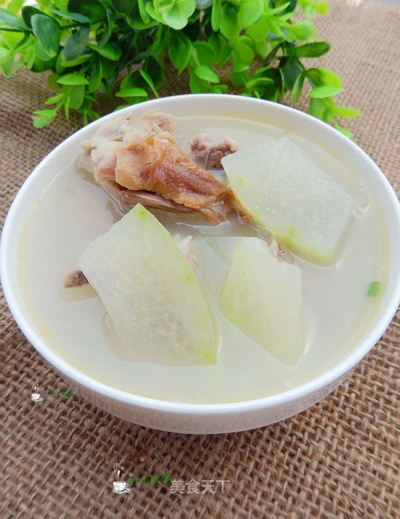 Winter Melon Duck Bone Soup recipe