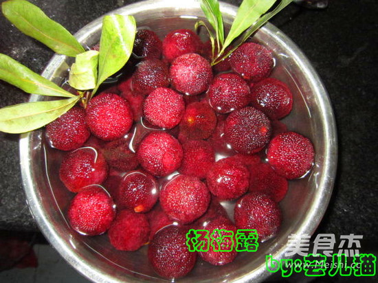 Bayberry recipe