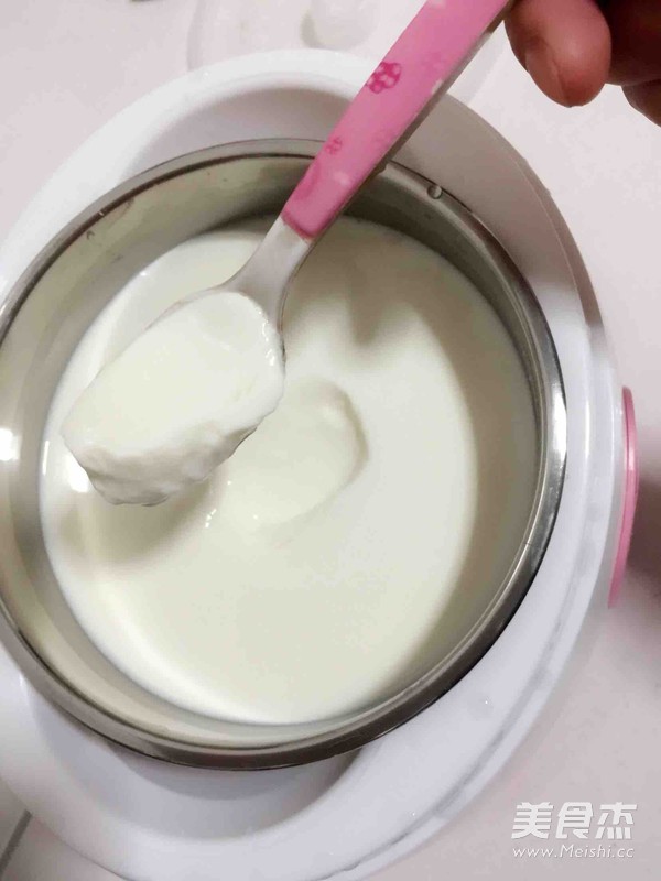 Yogurt Pot recipe