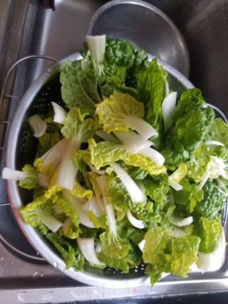 Yellow Cabbage in Oyster Sauce recipe